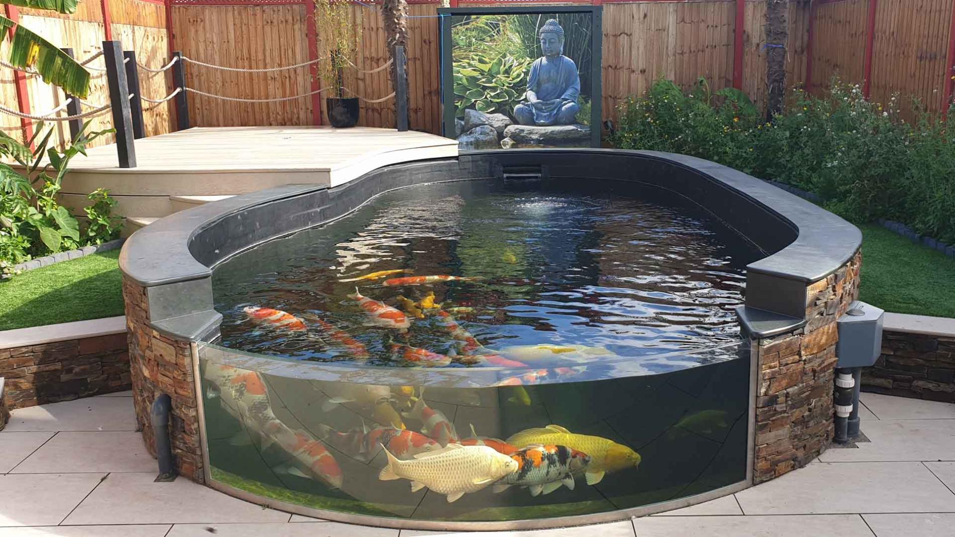 A Pond in a Garden with Fish on Display Through Glass Payne 