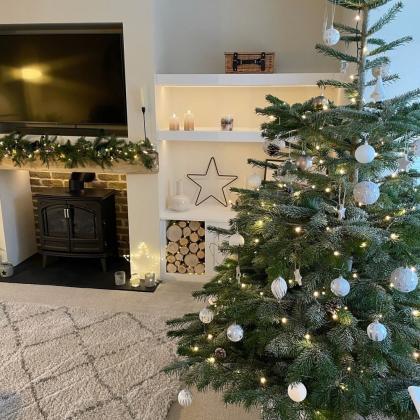 family lounge with christmas decorations and wood burner